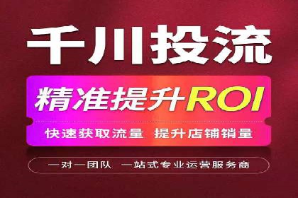 SEM竞价入门指南，经典案例分享